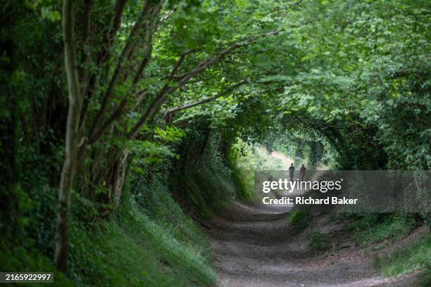 The ancient Roman Stane Street is used by two figures, on 8th August 2024, in Halnaker, England. Stretching 56 miles from London to Chichester, Stane...