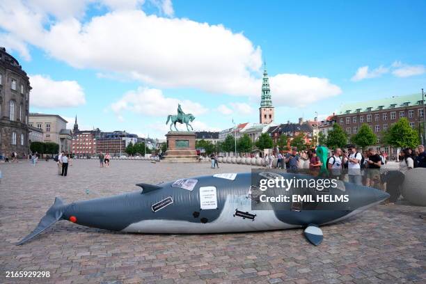 An inflated whale mockup is exposed at Christiansborg Slotsplads as supporters of the campaigning group Sea Shepherd demonstrate for the release of...