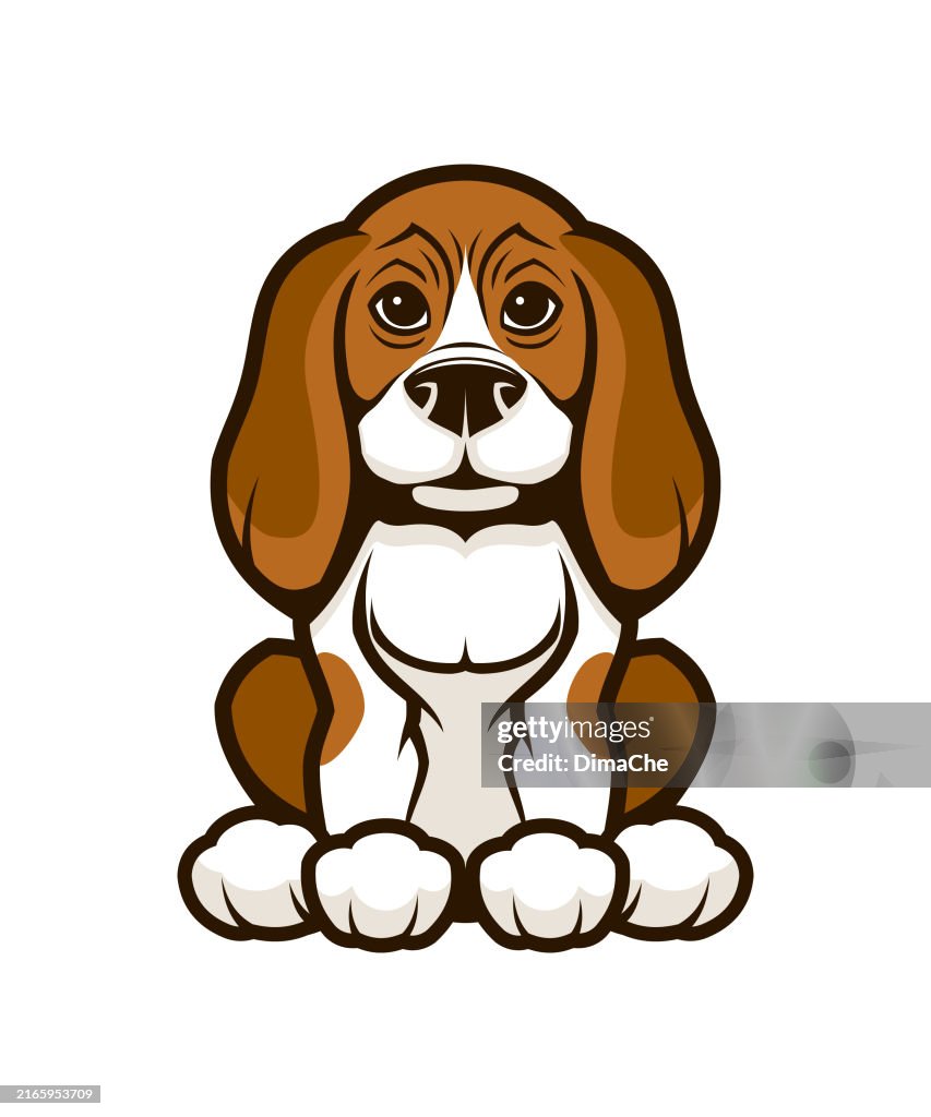 Beagle dog, Harrier dog, Foxhound, Hunting dog - vector illustration of dog with long ears