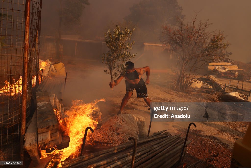 Wildfire in Nea Penteli near Athens