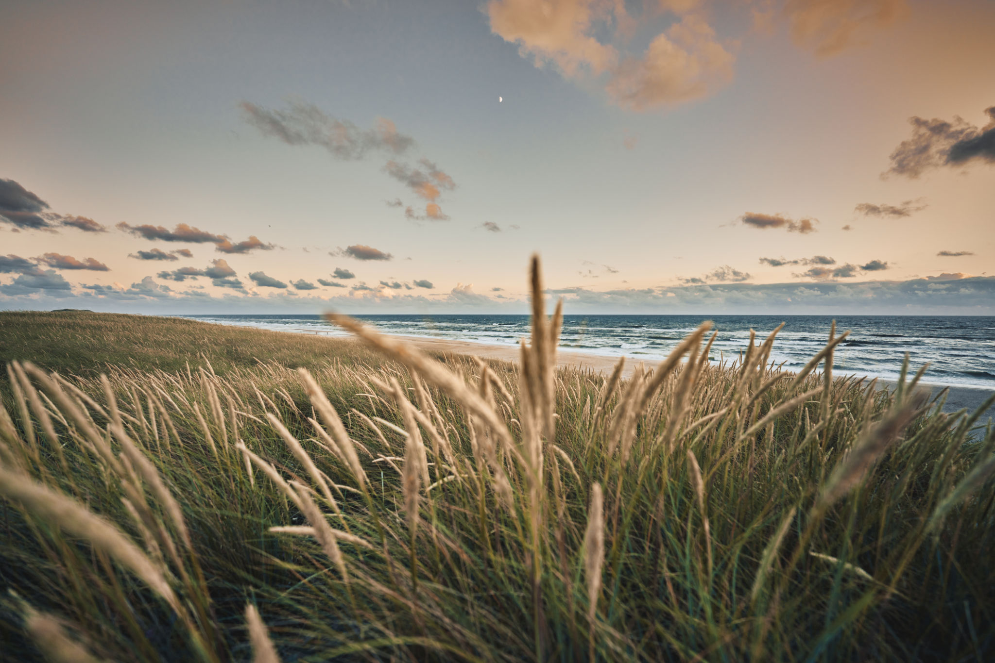 coastal waters