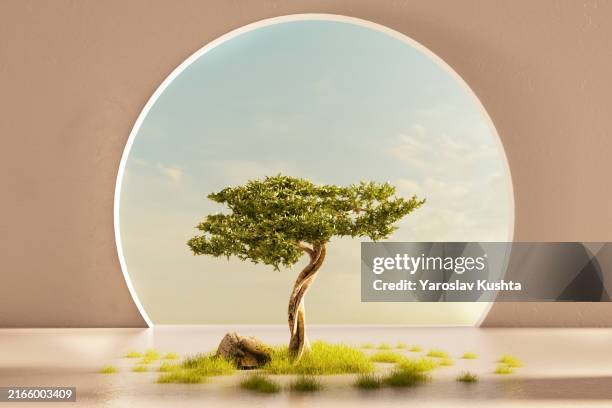 3d digital generated image minimalist of interior room with organic tree, stones and grass cgi - grounds stock pictures, royalty-free photos & images