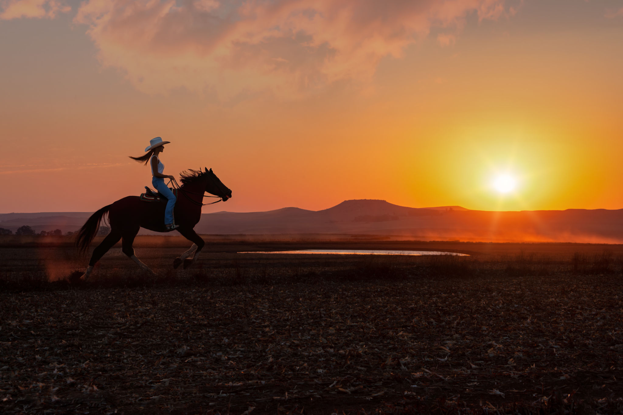 texas ranch