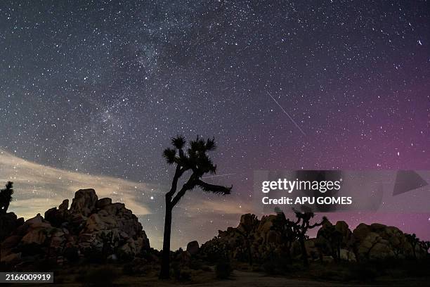 Northern Lights illuminate the sky above Joshua Tree National Park during the Perseids Meteor shower in Joshua Tree, California, early on August 12,...