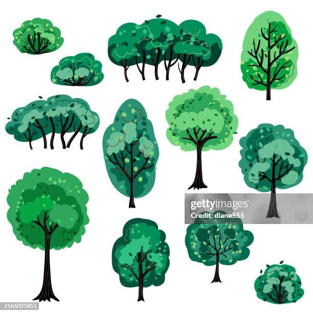 set of green deciduous trees and bushes on a transparent backgorund - trees clipart stock illustrations