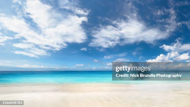 the beach - tropical climate stock pictures, royalty-free photos & images