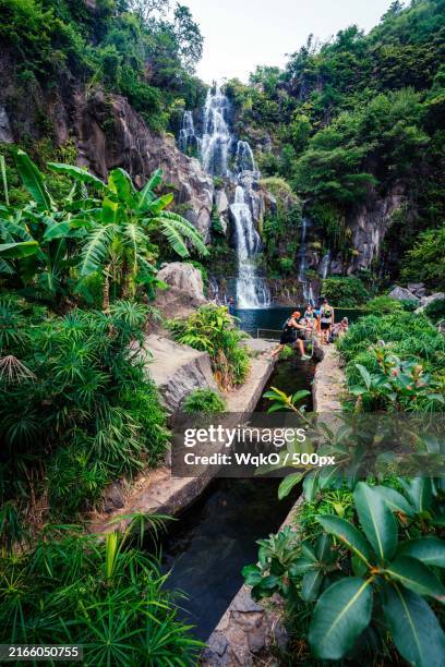 scenic view of waterfall in forest,reunion - french overseas territory stock pictures, royalty-free photos & images