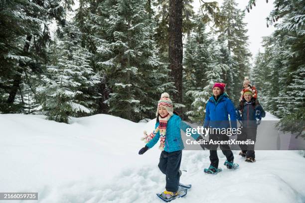 family snowshoes through forest - winter sport kids stock pictures, royalty-free photos & images