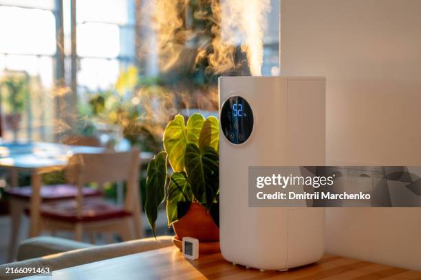 air humidifier on table at home, steam illuminated by sunlight, plant philodendron splendid near in pot. - luchtvochtigheid stockfoto's en -beelden
