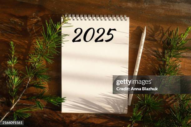 notepad with 2025 text and pencil on wooden background. view from above. green fir branches. - new year resolution stock pictures, royalty-free photos & images