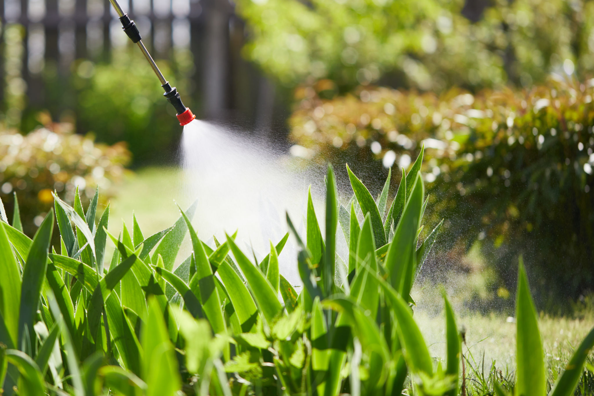 garden care
