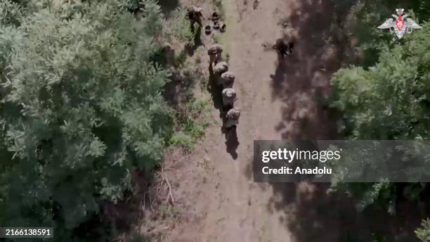 Screen grab captured from a video soldiers of the 80th and 82nd air assault brigades of the Ukrainian Armed Forces in the settlements of Malaya...