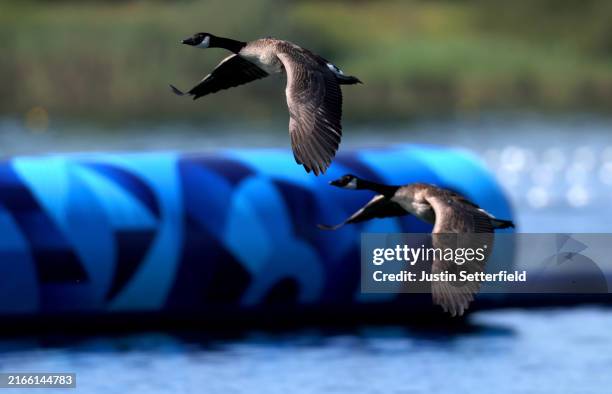 General view of two geese flying during the Women’s Kayak Single 500m Semifinals on day fifteen of the Olympic Games Paris 2024 at Vaires-Sur-Marne...