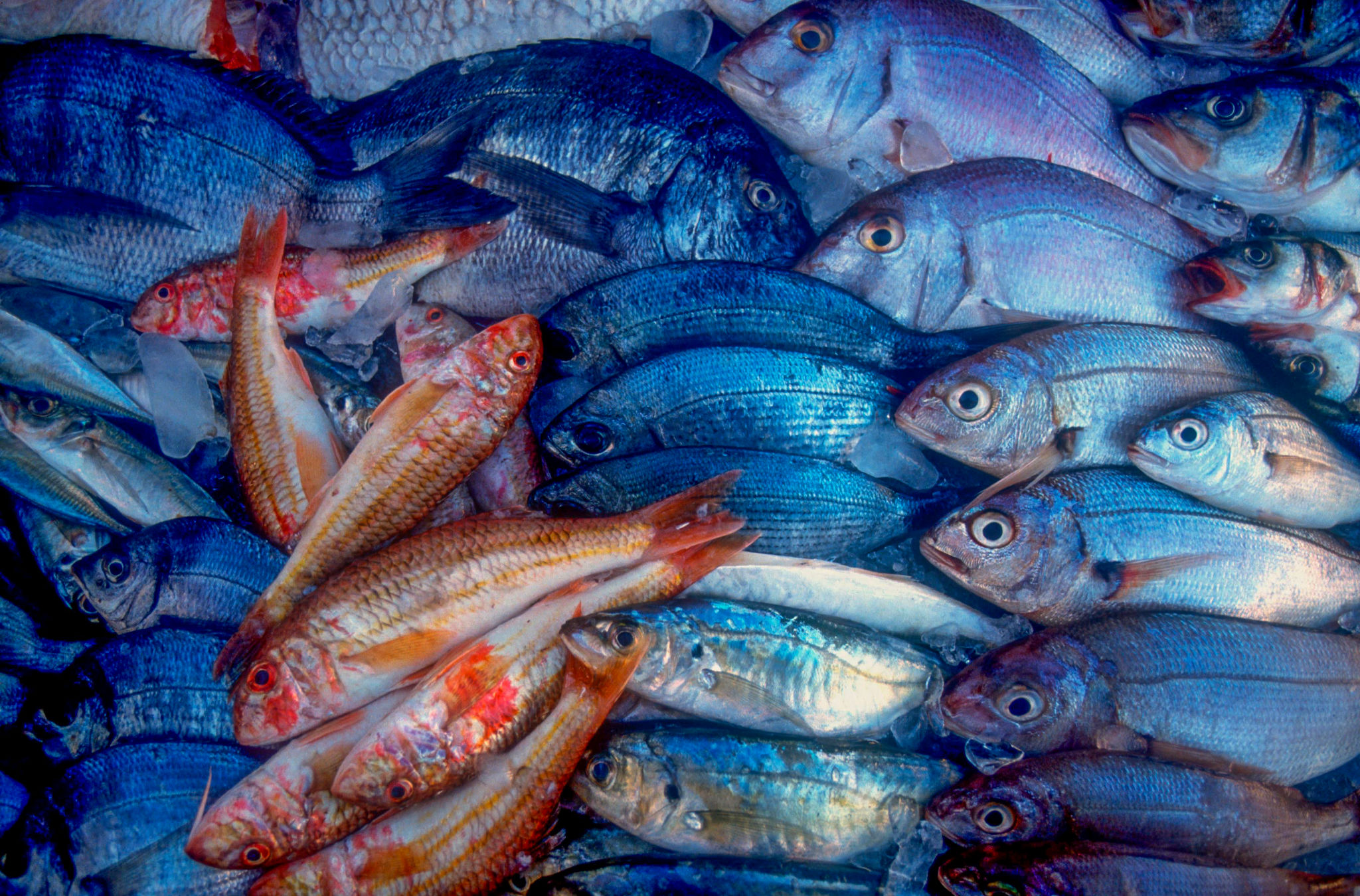 portimao market