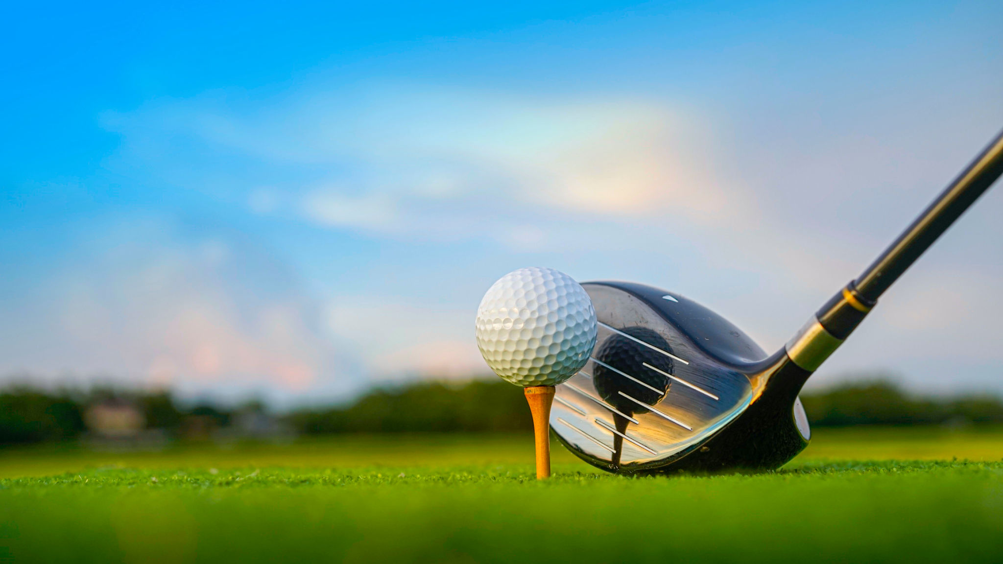golf clubs