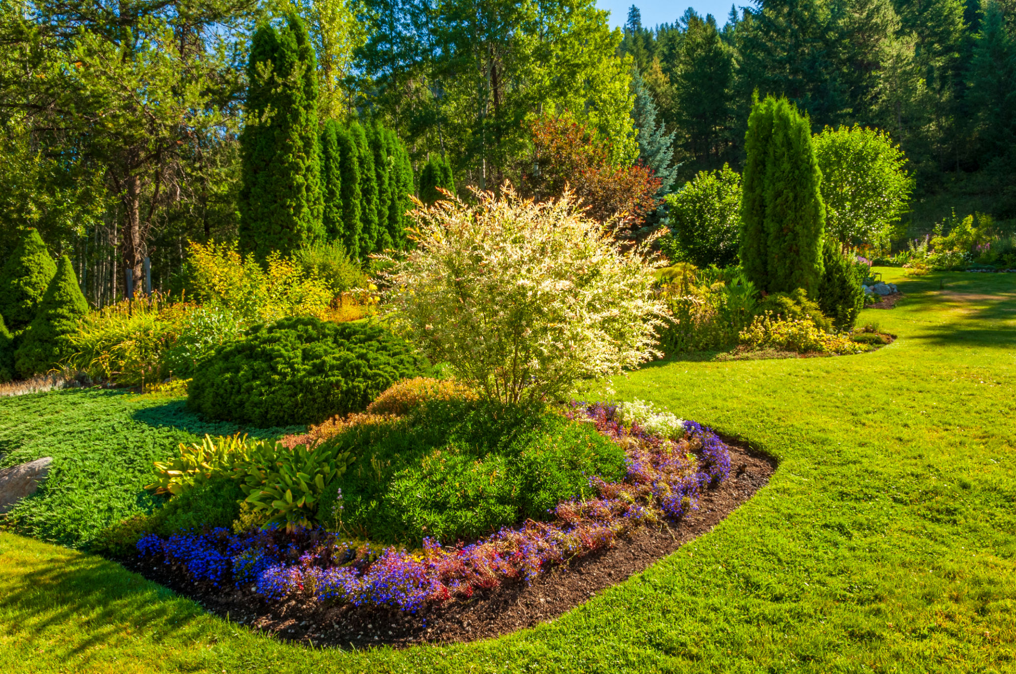 landscaped garden