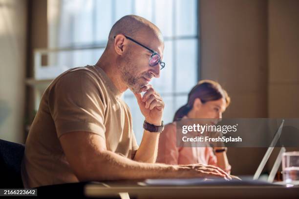 focused professionals working on laptops in modern office - concentration stock pictures, royalty-free photos & images