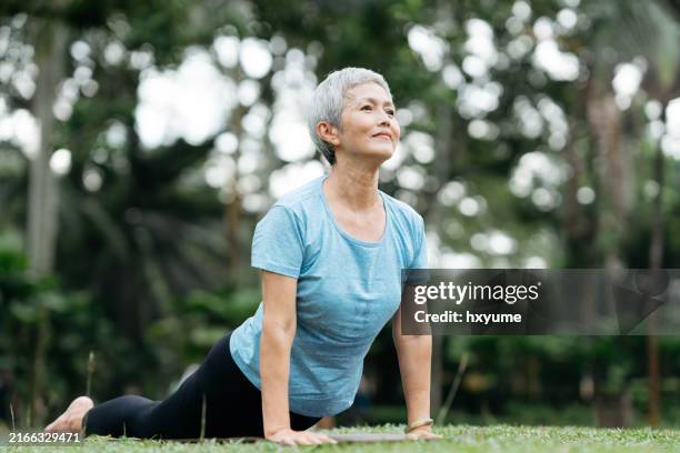 senior asian woman is practicing yoga in a park - zen-like stock pictures, royalty-free photos & images