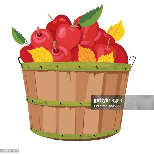 basket of fall apples on a transparent background - basket stock illustrations