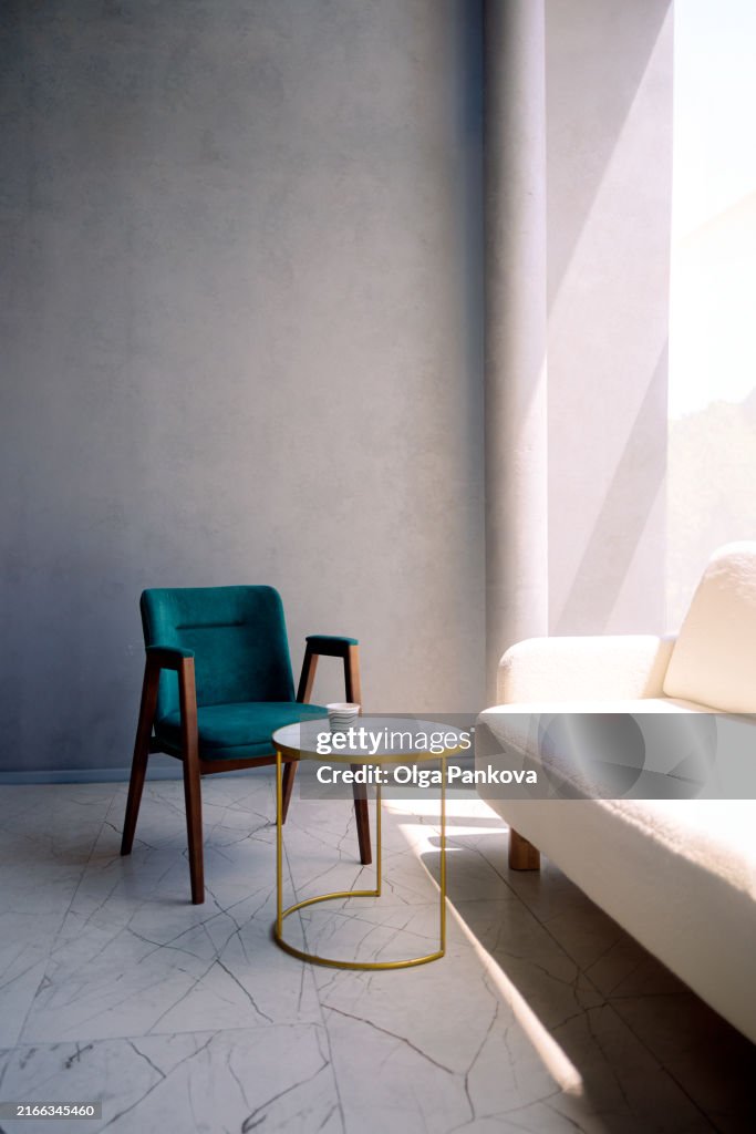 Minimalistic modern stylish interior, office with armchair and sofa