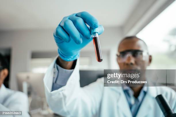 scientist looking at blood collection tube - test tube stock pictures, royalty-free photos & images