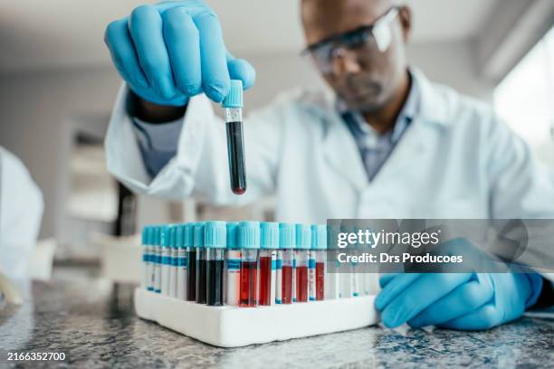 hombre haciendo análisis en tubos de recolección de sangre en el laboratorio - prueba-de-azúcar-en-la-sangre fotografías e imágenes de stock