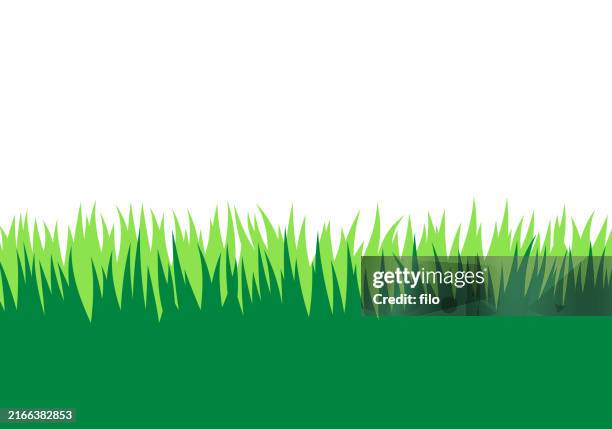 ilustraciones, imágenes clip art, dibujos animados e iconos de stock de elementos de diseño de borde largo de hierba en crecimiento - arrancar malas hierbas