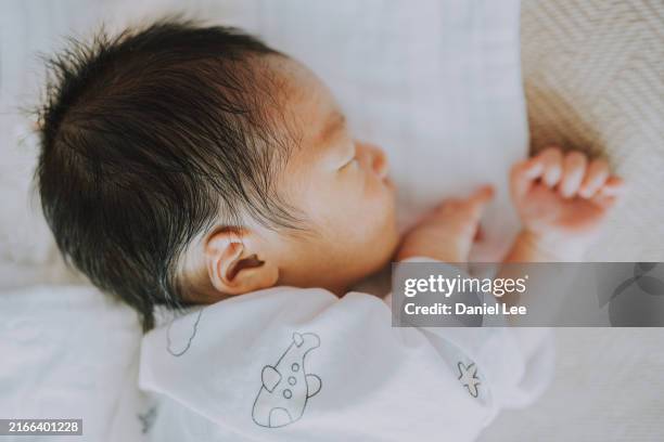 an asian baby is sleeping - sólo bebés fotografías e imágenes de stock