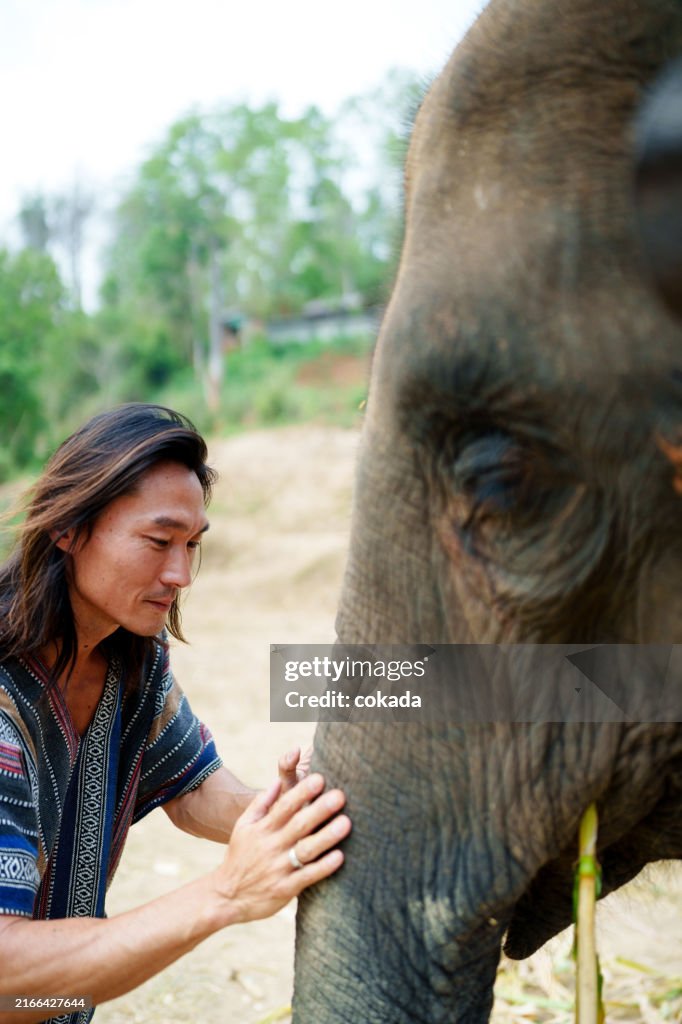 Man with elephant