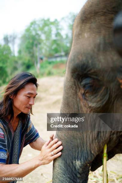 man with elephant - wildlife conservation stock pictures, royalty-free photos & images