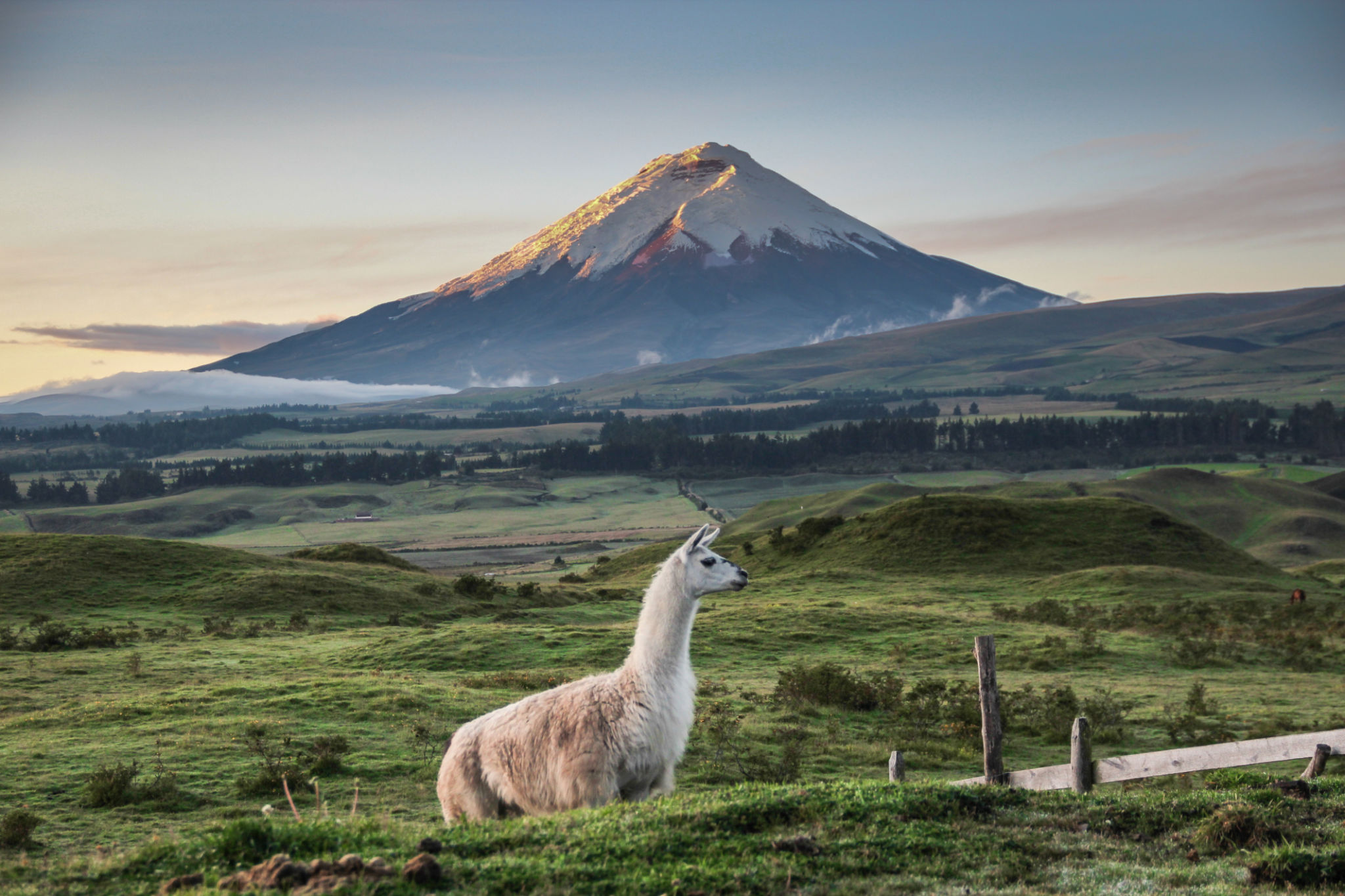 volcanoes