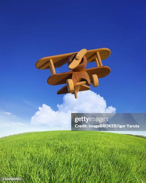 Igor Flying 99 Igor Fly In Sky Stock Photos, High-Res Pictures, and Images - Getty ...