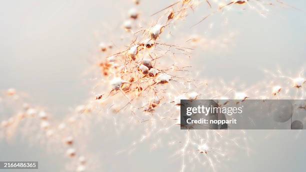 neuronal activity in the brain. - neurotransmissor imagens e fotografias de stock