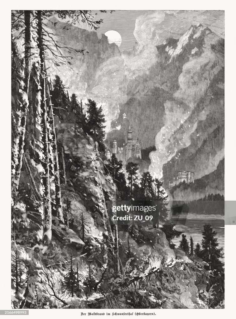 Woodfire near Lake Schwansee, Bavaria, Germany, wood engraving, published 1892