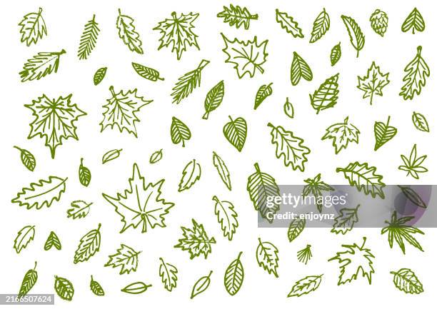 autumn leaf drawings and doodles - oak leaf stock illustrations