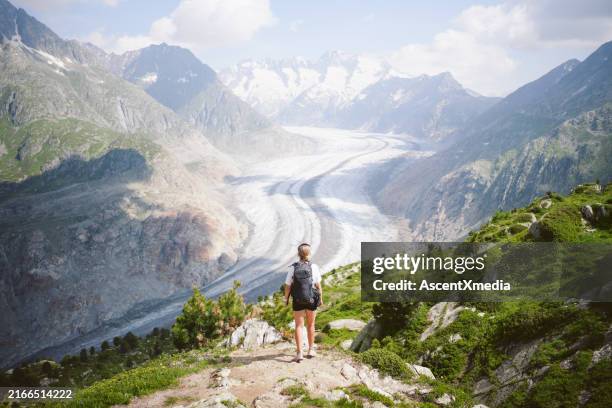 scenic view of mountains in summer, aletsch glacier - aletsch glacier stock pictures, royalty-free photos & images