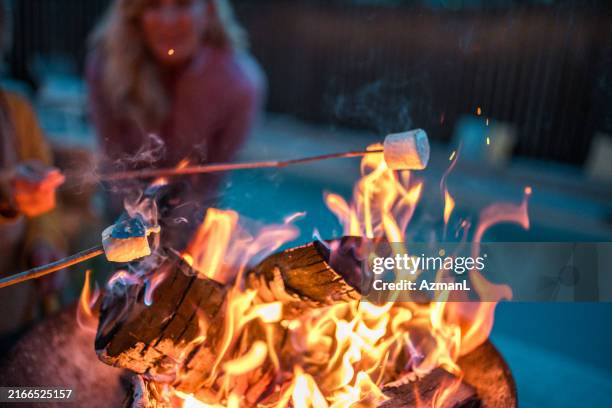 evening marshmallow roasting over open flame - fire pit stock pictures, royalty-free photos & images