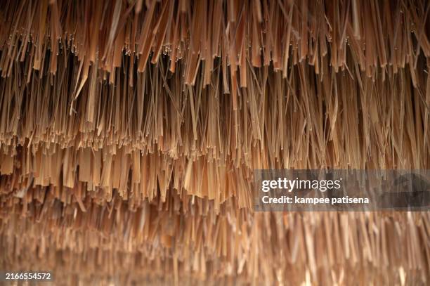 Thatched Rloc 4,839 Thatched Roof Huts Stock Photos, High-Res Pictures, and Images ...