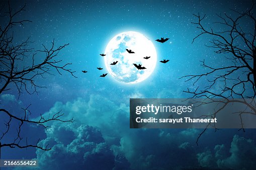 Happy Halloween background with moon, branches, bats in the background. Happy Halloween background with moon, branches, bats in the background.