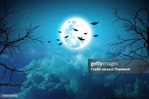 happy halloween background with moon, branches, bats in the background. - dia das bruxas imagens e fotografias de stock