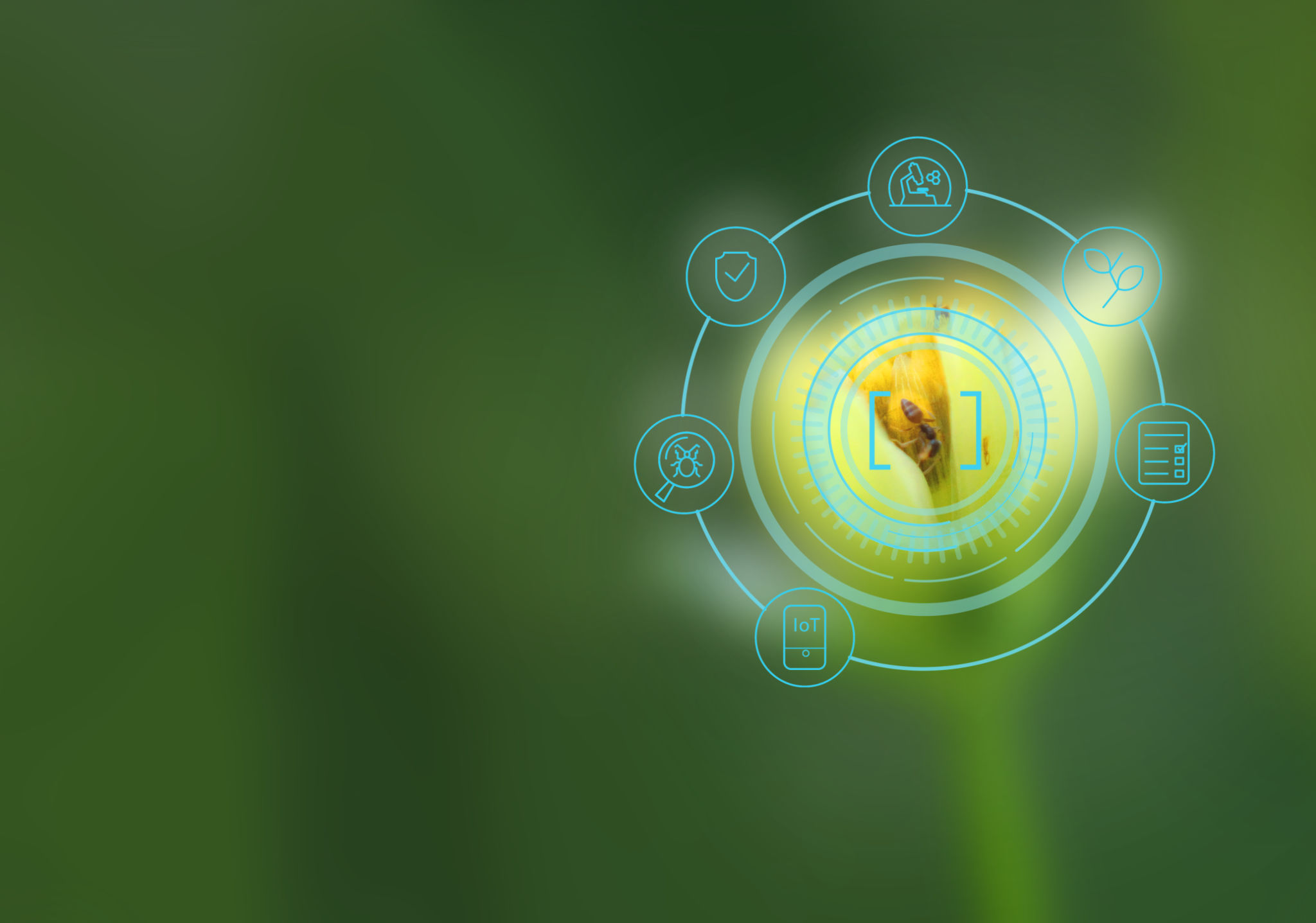 ai technology pest control