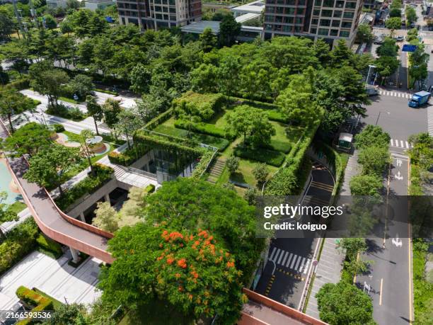 rooftop gardens and vertical greening - green building stock pictures, royalty-free photos & images