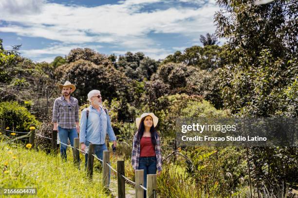 family looking around during hiking outdoors - ecoturismo imagens e fotografias de stock