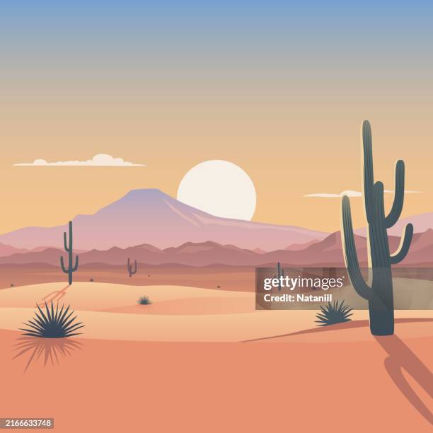 desert - mexico sunset stock illustrations