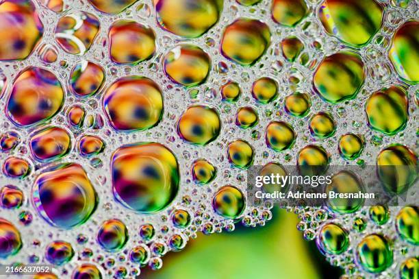 bubbling brew - verre à bière photos et images de collection