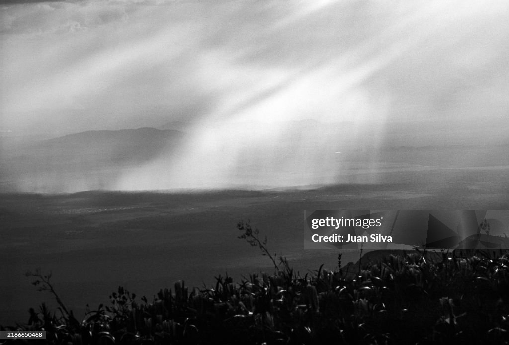 Aerial view from Cerro Autana of rain storm falling on the Amazonas State rain forest, Venezuela