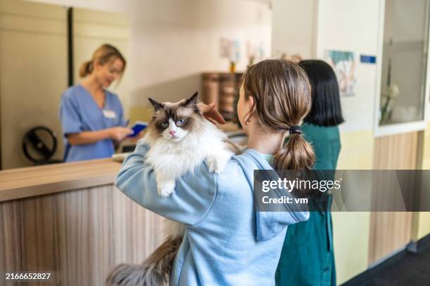visite familiale chez le vétérinaire avec un chat de compagnie - clinique vétérinaire photos et images de collection