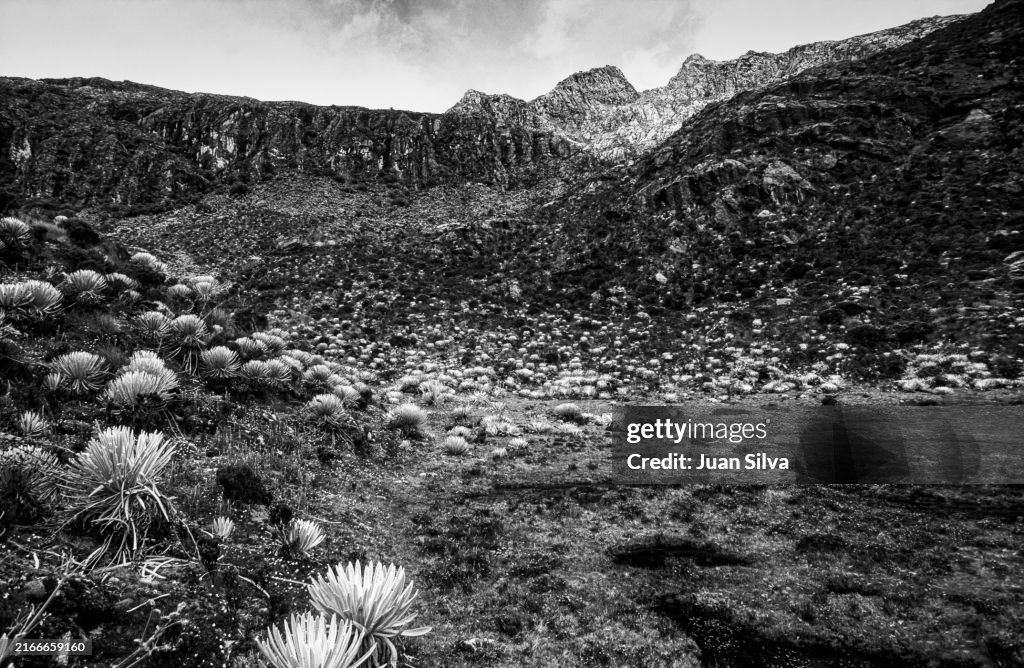 Sierra Nevada National Park in Merida State, Venezuela