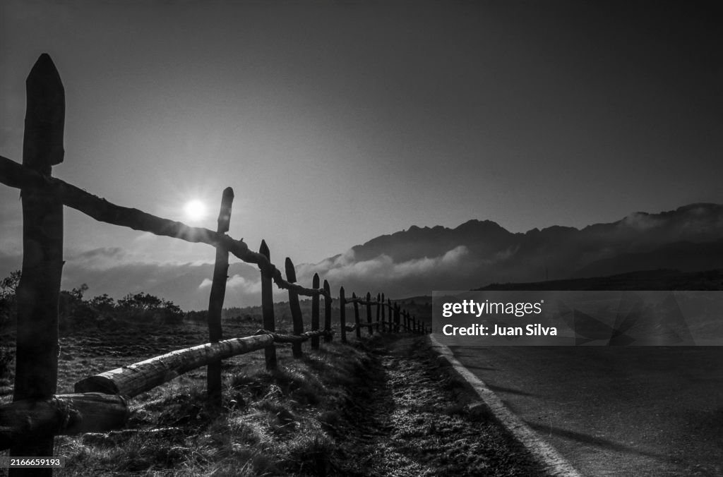 Rural road through the Sierra Nevada National Park at sunset, Merida State, Venezuela