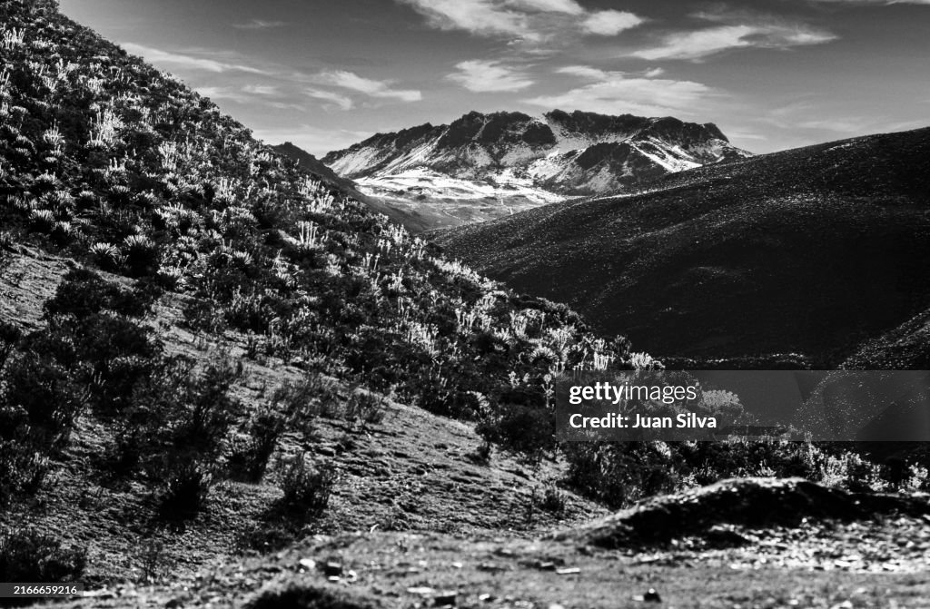 Sierra Nevada National Park in Merida State, Venezuela